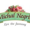 Michal Negrin